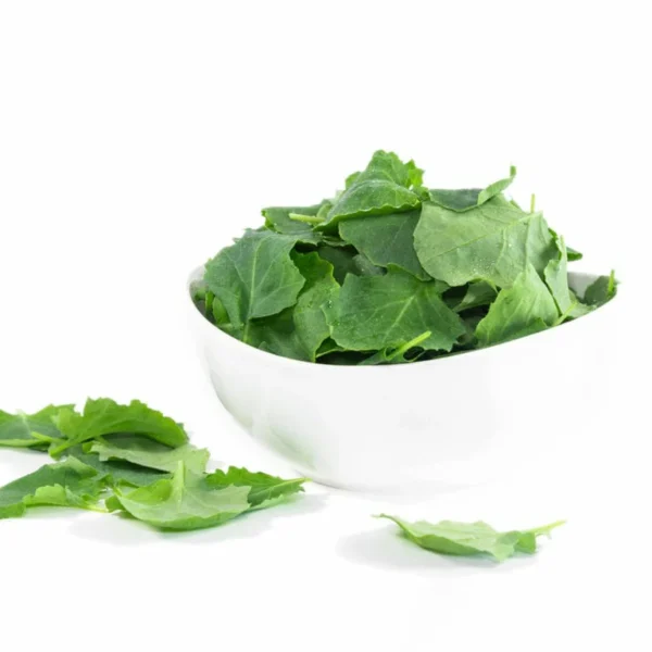 micro kale, AeroFarms