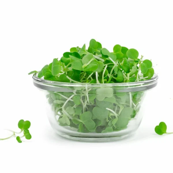 micro wasabi, AeroFarms