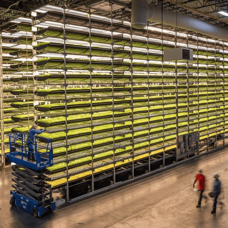 AeroFarms