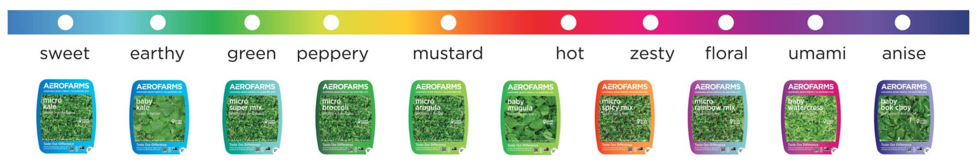 AF-ColorSpectrumLine vertically farmed greens for elevated flavor, AeroFarms