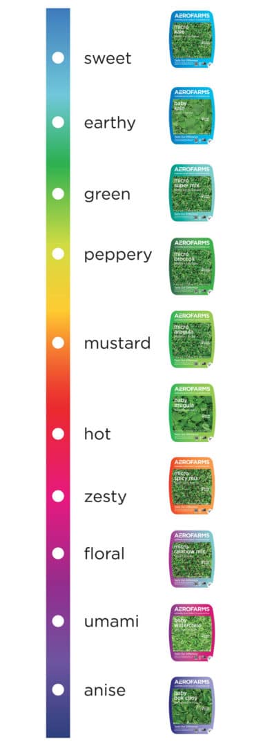 AF-ColorSpectrumLine vertically farmed greens for elevated flavor, AeroFarms