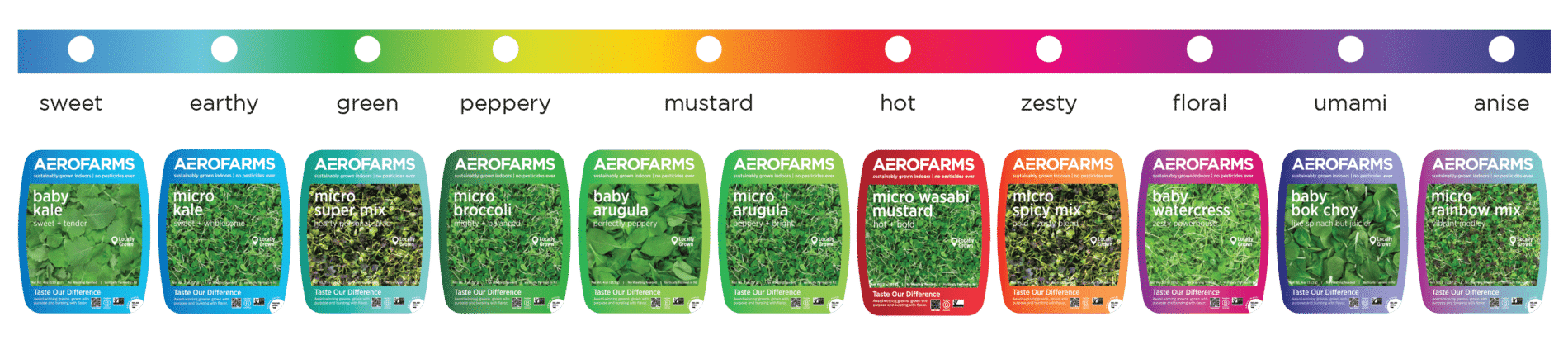 vertically farmed greens for elevated flavor, AeroFarms