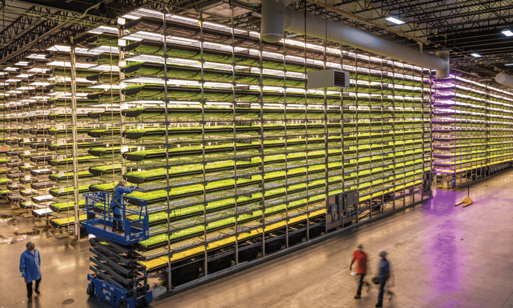 qatar, AeroFarms