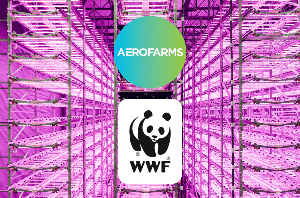 St. Louis, AeroFarms