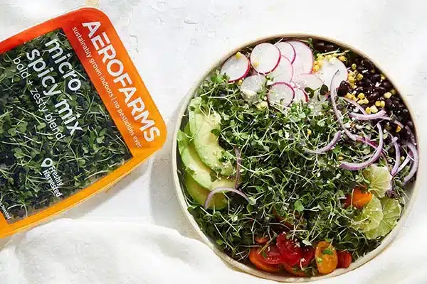 Mexican Salad with Aerofarms Microgreens.