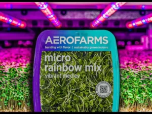 vertical farming news, AeroFarms
