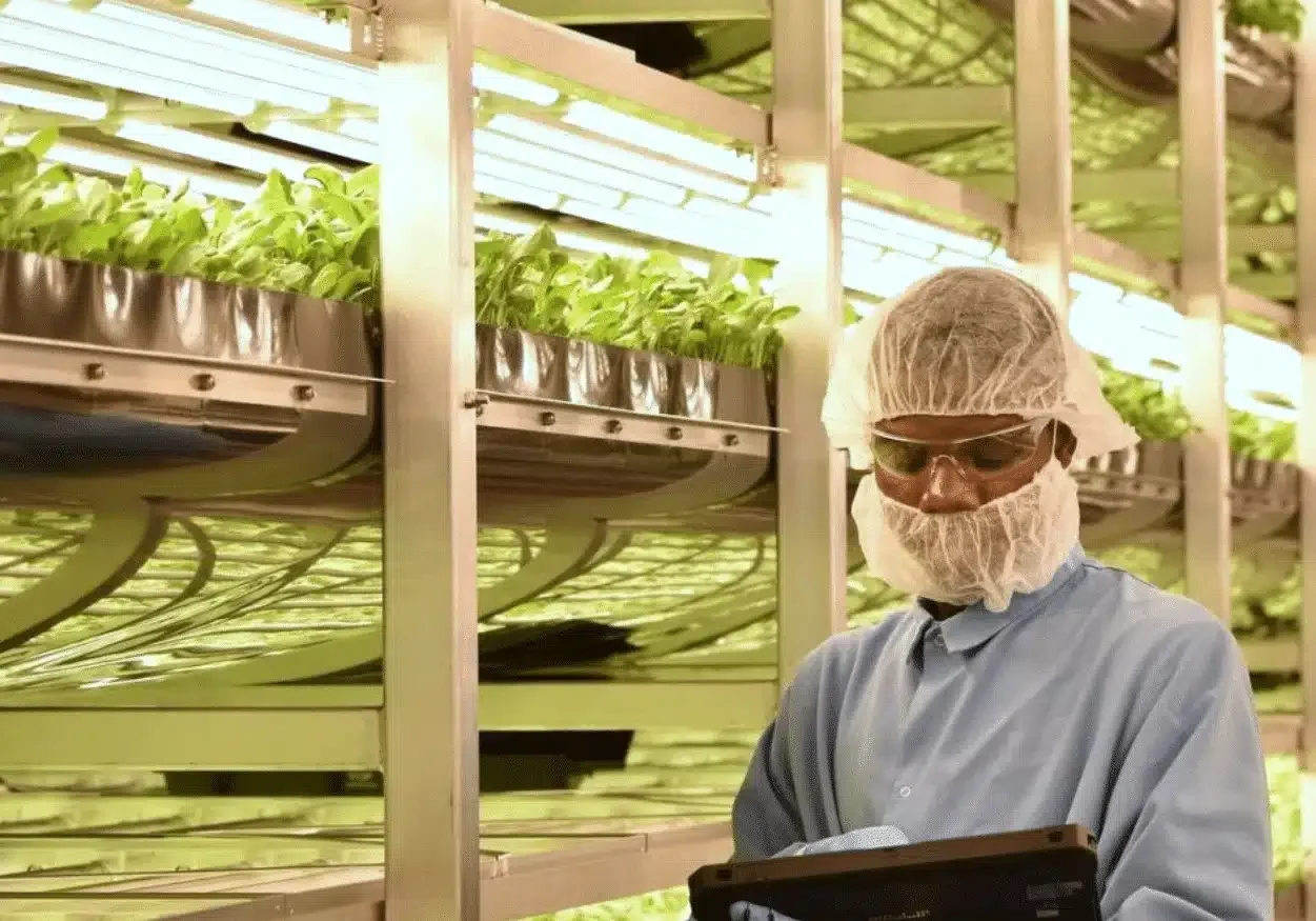 Solving agriculture's toughest issues, AeroFarms