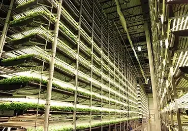 vertical farming technology, AeroFarms