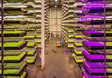 vertical farming technology, AeroFarms