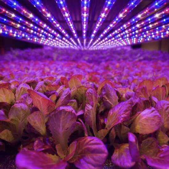 vertical farming Commercial Partnerships, AeroFarms