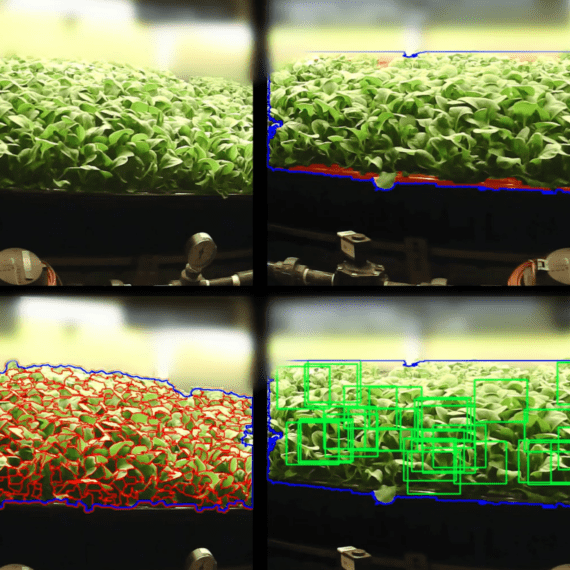 vertical farming Commercial Partnerships, AeroFarms