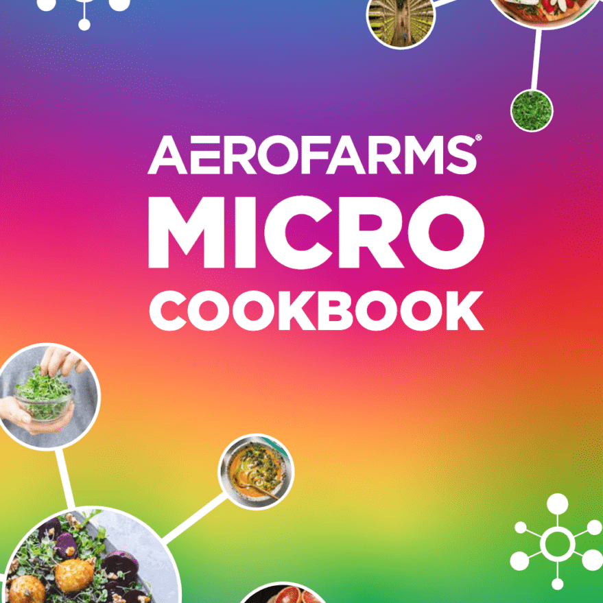 Screen Shot 2021-12-10 at 3.35.24 PM AeroFarms home, AeroFarms