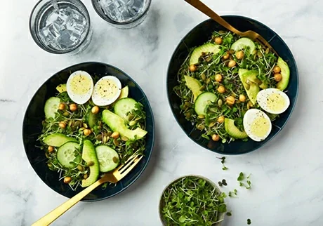 Rainbow Mix, AeroFarms