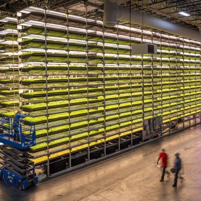 corporate vertical farms, AeroFarms