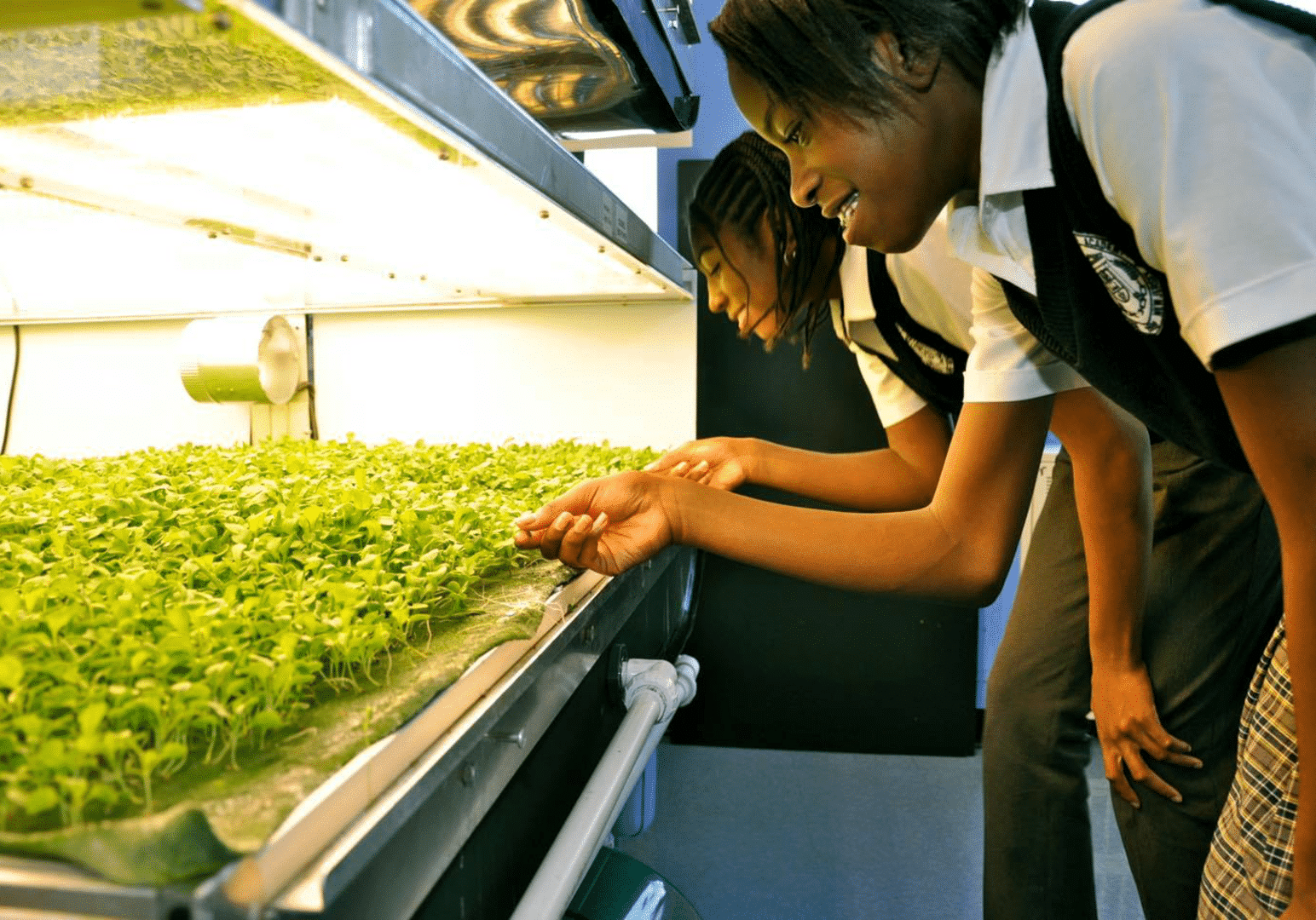 Community Farms, AeroFarms