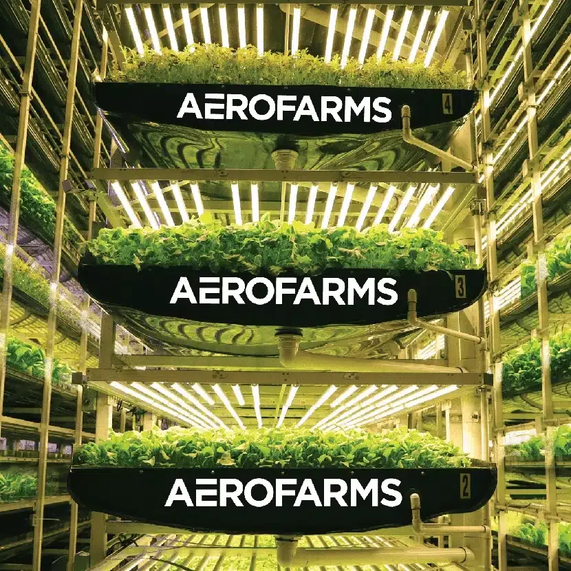 vertical farming technology, AeroFarms