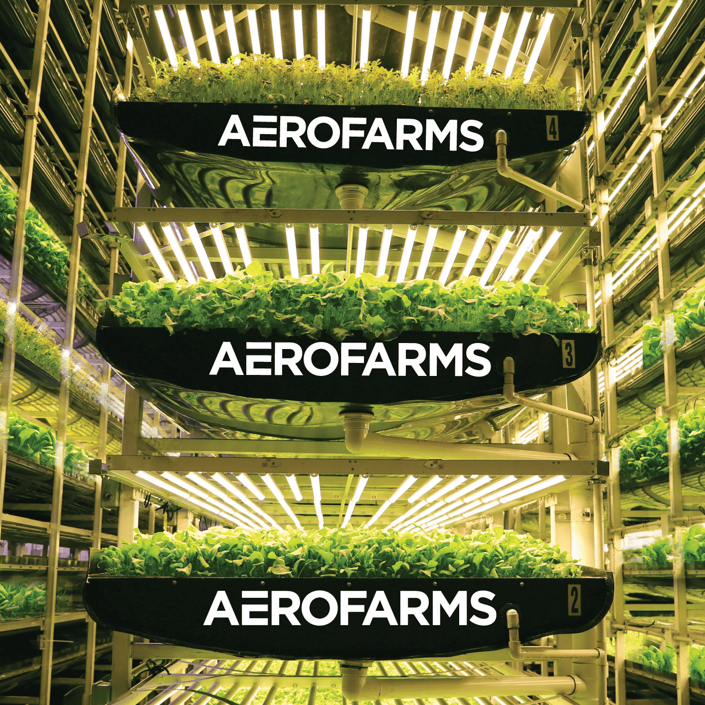 AeroFarm Partners with Goose Island UK, AeroFarms