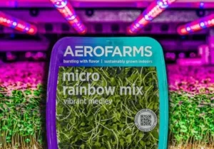 aerofarms, AeroFarms